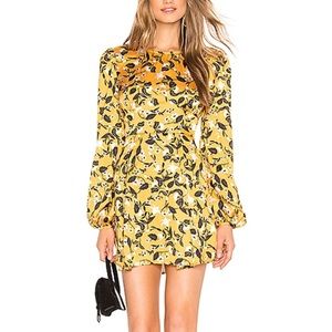 NWT Tularosa long sleeve mini dress